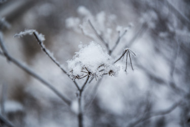 Similar image 21824811