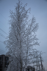 Similar image 21824812