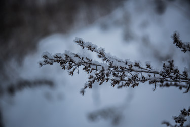 Similar image 21824814