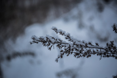 Similar image 21824815