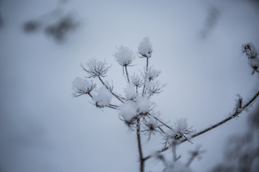 Similar image 21824816