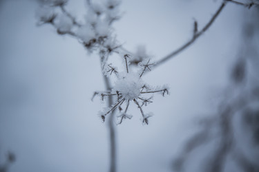 Similar image 21824817