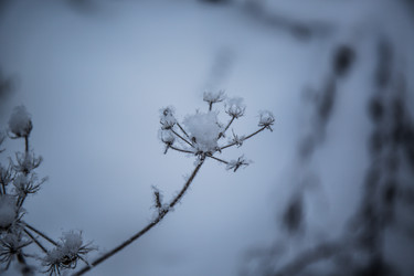 Similar image 21824818