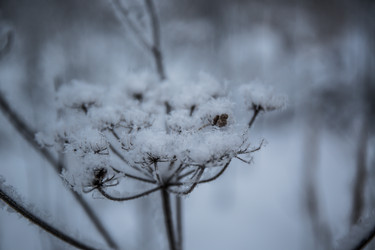 Similar image 21824819