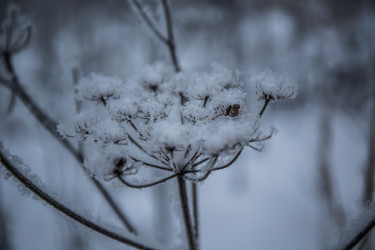 Similar image 21824820