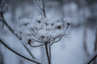 Similar image 21824821