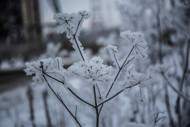 Similar image 21824822