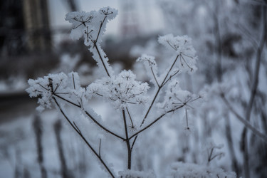 Similar image 21824823