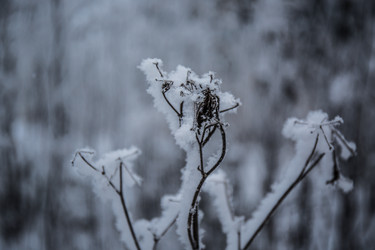 Similar image 21824824