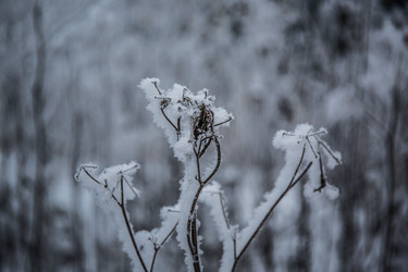 Similar image 21824825