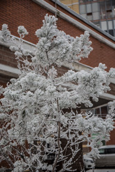 Similar image 21824826