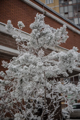 Similar image 21824827