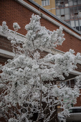 Similar image 21824828