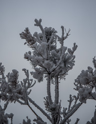 Similar image 21824829