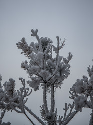 Similar image 21824830