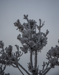 Similar image 21824831