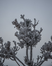 Similar image 21824832