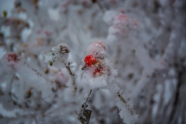 Similar image 21824833