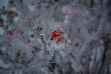 Similar image 21824834