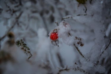 Similar image 21824835