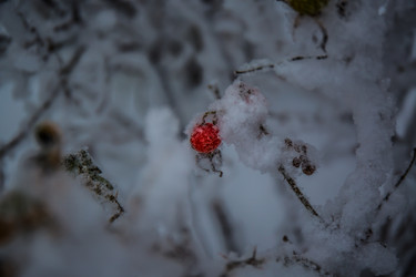 Similar image 21824836