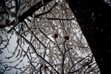 Similar image 21824838