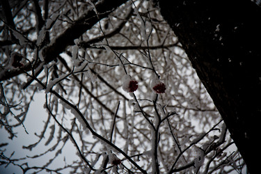 Similar image 21824839