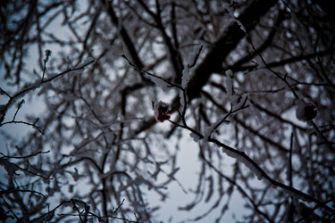 Similar image 21824840