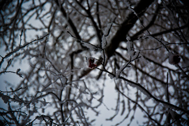 Similar image 21824841