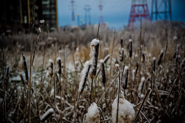 Similar image 21824842