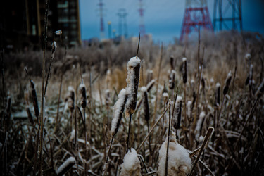 Similar image 21824843