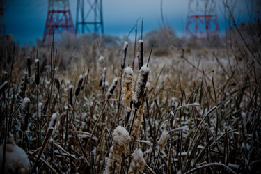 Similar image 21824844