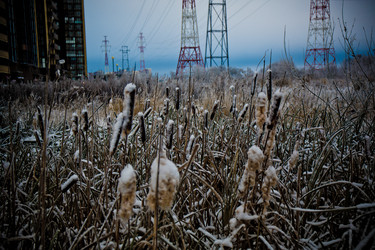 Similar image 21824873