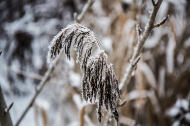 Similar image 21824847