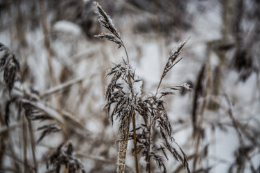 Similar image 21824848