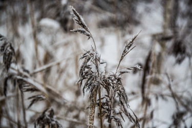 Similar image 21824849