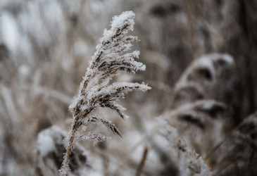 Similar image 21824850