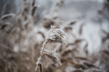 Similar image 21824851