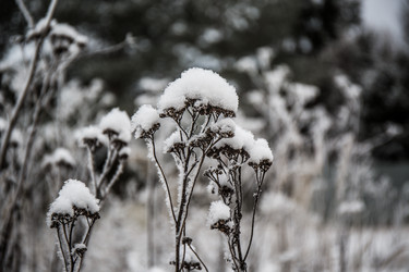 Similar image 21824852