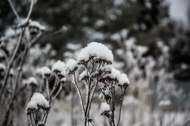 Similar image 21824853