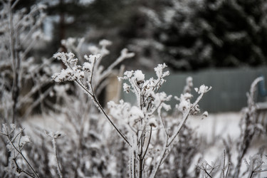 Similar image 21824855