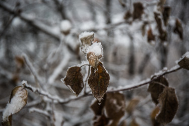 Similar image 21824857