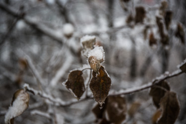 Similar image 21824858