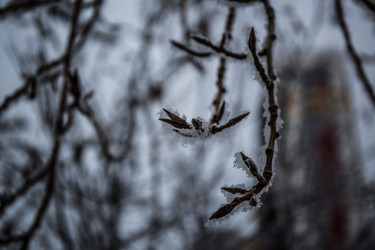 Similar image 21824859