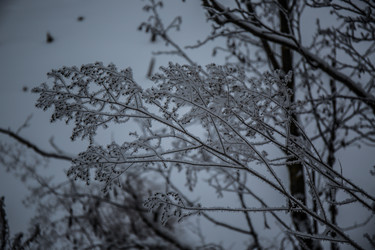 Similar image 21824860