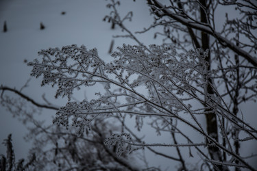 Similar image 21824861