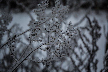 Similar image 21824862