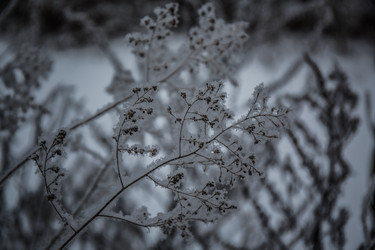 Similar image 21824863