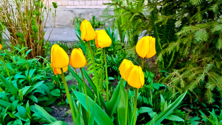 Similar image 21817256