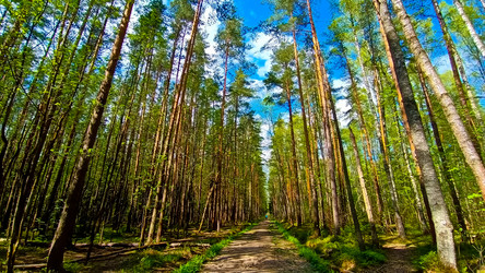 Similar image 21817257